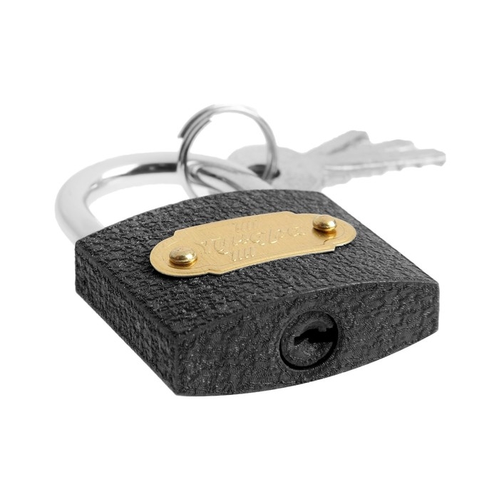 Замок навесной ТУНДРА ZN1038, 38 мм Замок навесной ТУНДРА ZN1038, 38 мм