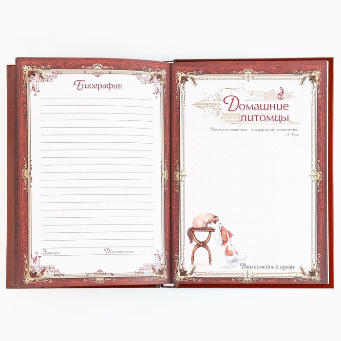 Родословная книга новогодним пояском &laquo;Новый год: Дед мороз&raquo;, 16,5 х 24 см.