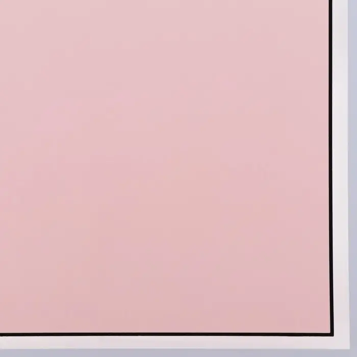 Пленка для цветов и флористики, матовая, пыльная роза, 57&times;57 м