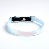 Ошейник для собак и кошек с фастексом &laquo;Неон&raquo; , 30 х 1 см