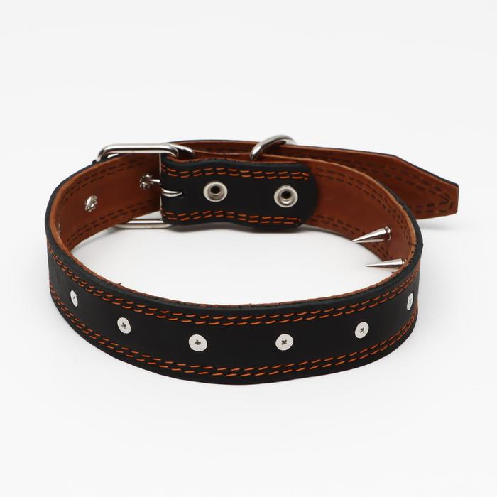 Ошейник кожаный Ошейник кожаный "Строгий шип", 70 х 3,5 см, ОШ 45-60 см, чёрный