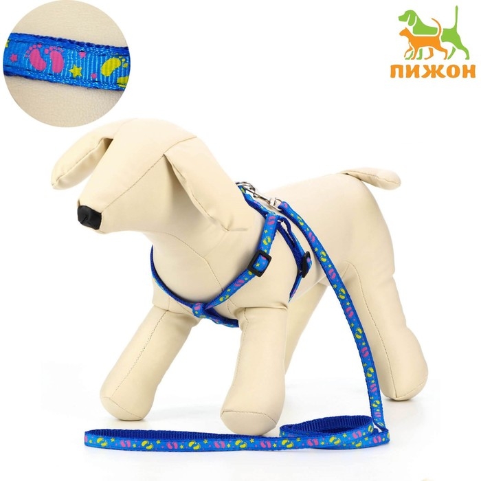 Шлейка с поводком &laquo;Цветные следы&raquo;, 23-35 см, ширина 1 см, поводок 120 см, синяя