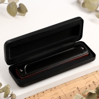 Губная гармошка Music Life T22K тремоло, с футляром Губная гармошка Music Life T22K тремоло, с футляром