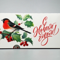 Коробка для капкейков складная с двусторонним нанесением &laquo;Снегири&raquo;, 25 х 17 х 10 см, Новый год