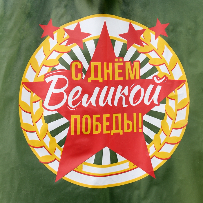 Карнавальный набор «День победы!», р. 42–54, дождевик, флажок Карнавальный набор «День победы!», р. 42–54, дождевик, флажок