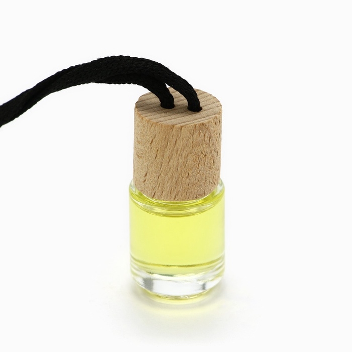 Ароматизаторы для машины новогодние «Все сбудется, загадывай», цитрус, тропики, парфюм, 3 шт Ароматизаторы для машины новогодние «Все сбудется, загадывай», цитрус, тропики, парфюм, 3 шт