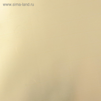 Пленка для цветов "Металл", золото, 58 см х 5 м Пленка для цветов "Металл", золото, 58 см х 5 м