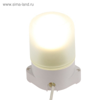 Светильник НББ 01-60-001 УХЛ1, E27, 60 Вт, 220 В, IP65, до +125&deg;, белый