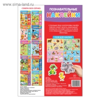 Наклейки многоразовые &laquo;Загадки о животных&raquo;, формат А4