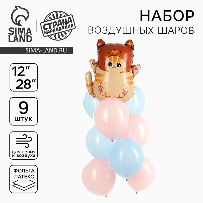 Набор воздушных шаров &laquo;Котик в шапке&raquo;, фольга, латекс, 9 шт.