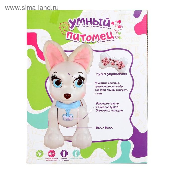 Робот собака &laquo;Умный питомец&raquo; ZHORYA, на пульте управления, интерактивный: реагирует на касания, звук, свет, на аккумуляторе