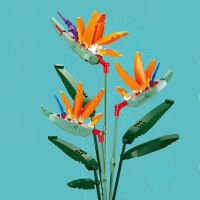 Конструктор «Цветы. Цветочная композиция», 269 деталей Конструктор «Цветы. Цветочная композиция», 269 деталей