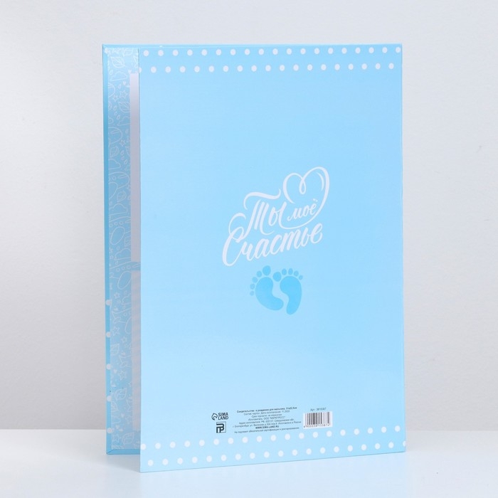 Папка для свидетельства о рождении для мальчика &laquo;Мишка&raquo;, А4