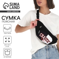 Сумка поясная с карманами &laquo;Хаос&raquo;, 29х15 см