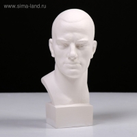 Гипсовая фигура известные люди: Бюст Маяковского, 9,5 х 11 х 23 см Гипсовая фигура известные люди: Бюст Маяковского, 9,5 х 11 х 23 см