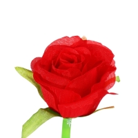 Ручка гелевая-прикол МИКС Роза красная (штрихкод на штуке)