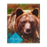 Комплект тетрадей из 4 штук, 96 листов в клетку Calligrata "Животные", обложка мелованный картон, блок №2, белизна 75% (серые листы)