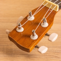 Сувенирный музыкальный инструмент Укулеле &laquo;Туземец&raquo;, 55 см, махагон, дерево