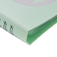 Нотная папка - 10 файлов 20 листов зеленая