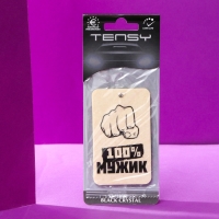 Ароматизатор подвесной Tensy, Черный кристалл TA-301 Ароматизатор подвесной Tensy, Черный кристалл TA-301