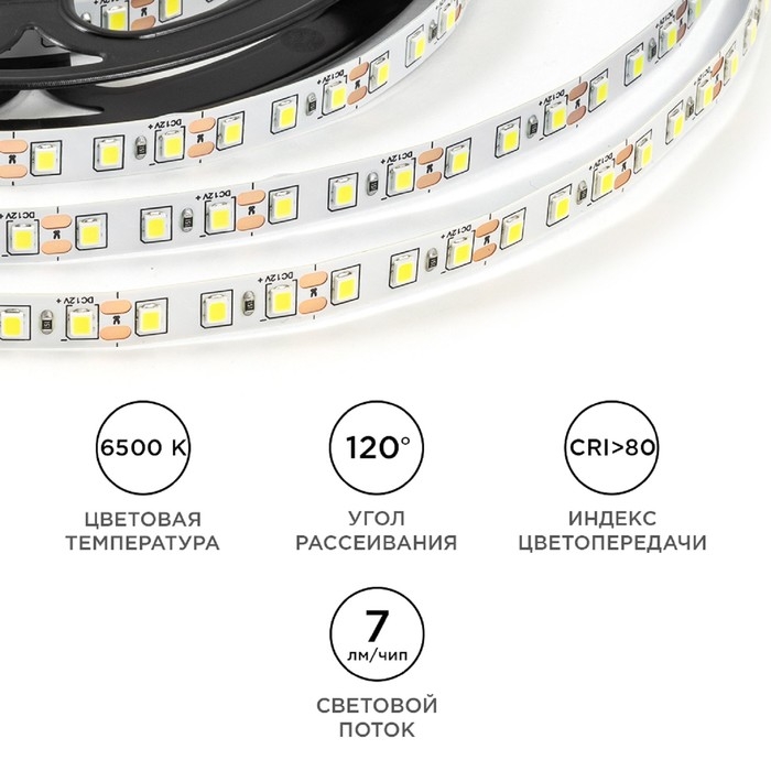 Светодиодная лента Apeyron 12В, SMD2835, 5 м, IP20, 9.6Вт/м, 120 LED/м, 6500К