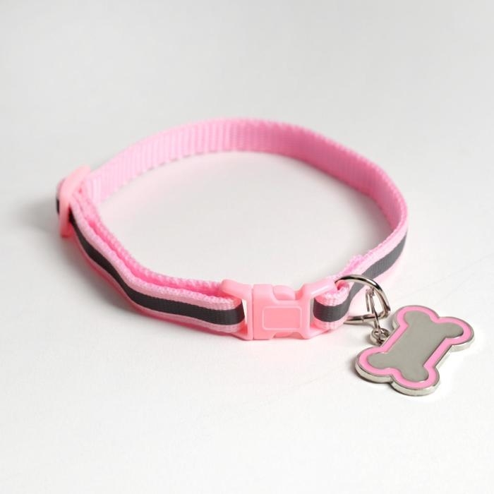 Ошейник светоотражающий с адресником, 30&times;1 см, капрон, розовый