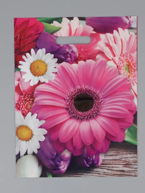 Пакет "Ароматная палитра", полиэтиленовый с вырубной ручкой 31х40 см, 60 мкм