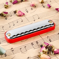 Губная гармошка Music Life T10-3 диатоническая, 10 отверстий, с футляром