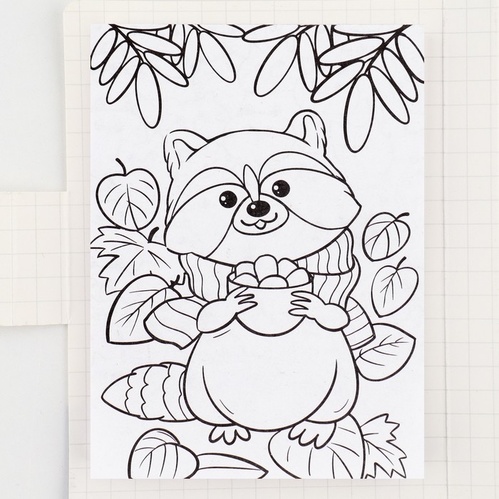 Подарочный набор в открытке: отрывной блок с заданиями и карандаши «Енот» Подарочный набор в открытке: отрывной блок с заданиями и карандаши «Енот»