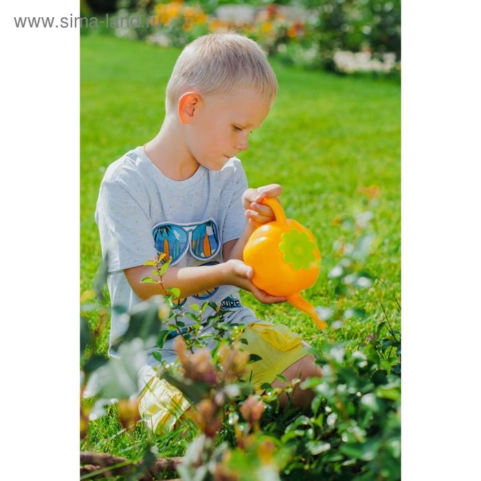 Лейка детская, 0.55 л, без рассеивателя, &laquo;Тыква&raquo;