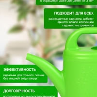 Лейка, 1.5 л, без рассеивателя, носик d =10 мм