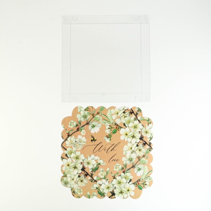 Коробка для печенья, кондитерская упаковка с PVC крышкой, «Пчёлка», 21 х 21 х 3 см Коробка для печенья, кондитерская упаковка с PVC крышкой, «Пчёлка», 21 х 21 х 3 см