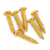 Комплект одиночной колковой механики Music Life, золотистые, 3+3