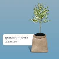 Мешок джутовый, 40 &times; 60 см, плотность 26 &times; 26 нитей, без завязок, Greengo