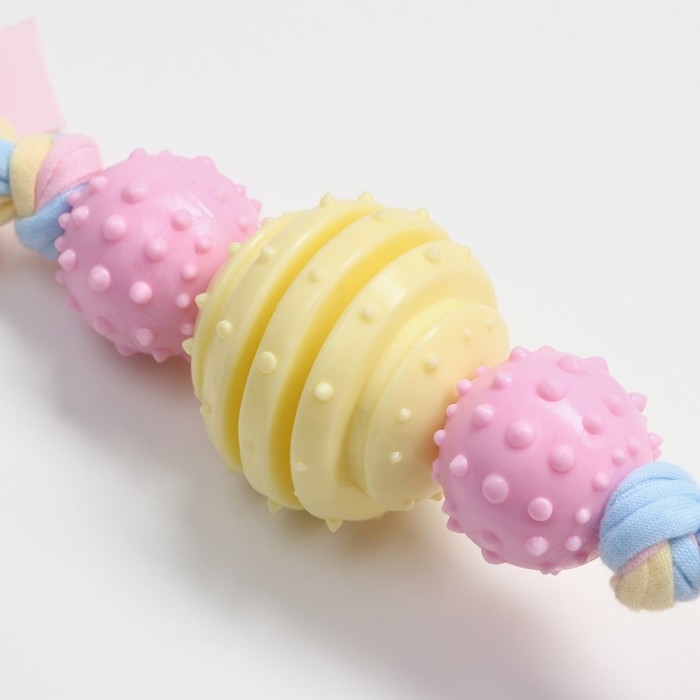 Игрушка жевательная Пижон Premium на верёвке, 3 элемента, термопластичная резина, микс Игрушка жевательная Пижон Premium на верёвке, 3 элемента, термопластичная резина, микс