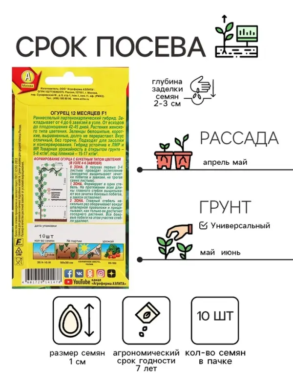 Семена огурца "12 месяцев", F1, 10 шт.