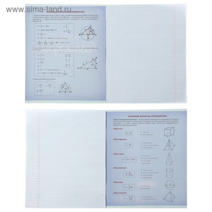 Комплект предметных тетрадей 48 листов &laquo;Неон&raquo;, 10 предметов со справочным материалом, обложка мелованный картон, УФ-лак, блок офсет