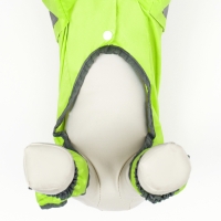 Комбинезон для собак, демисезонный с козырьком, размер S (ДС 28, Ог 41, ОШ 31 см), зелёный Комбинезон для собак, демисезонный с козырьком, размер S (ДС 28, Ог 41, ОШ 31 см), зелёный