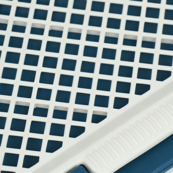 Туалет для собак, 55 х 46 х 12 см, синий