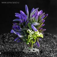 Растение искусственное аквариумное, 14,5 х 13 х 13 см Растение искусственное аквариумное, 14,5 х 13 х 13 см