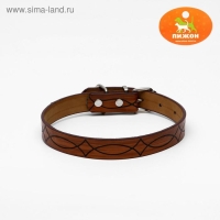 Ошейник с основой из термопластичной резины, тисненый, 48 х 2 см, микс цветов Ошейник с основой из термопластичной резины, тисненый, 48 х 2 см, микс цветов