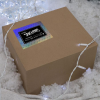 Гирлянда &laquo;Занавес&raquo; 2 &times; 9 м, IP65, УМС, белая нить, 1800 LED, свечение белое, 220 В