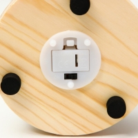 Ночник колба "Влюблённая пара" LED от батареек 3хLR44 10х10х21 см RISALUX Ночник колба "Влюблённая пара" LED от батареек 3хLR44 10х10х21 см RISALUX