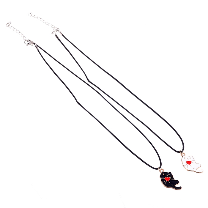 Набор для лучших подруг &laquo;Связанные судьбой&raquo;