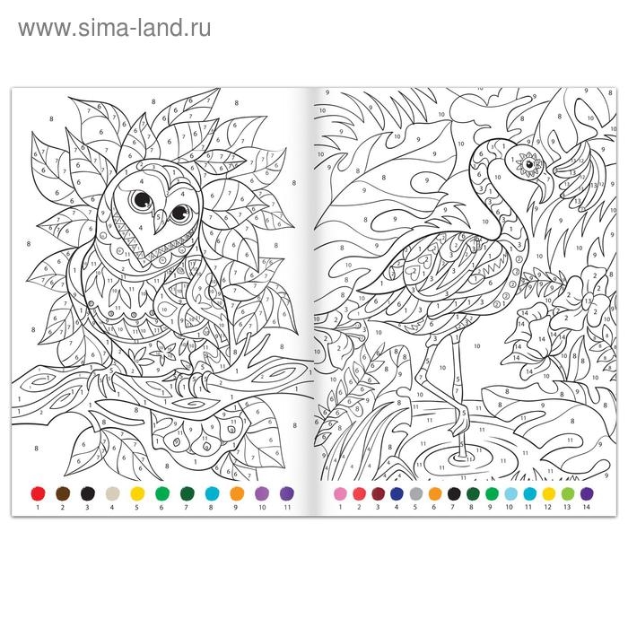 Раскраска по номерам &laquo;Удивительный мир&raquo;, 16 стр., формат А4