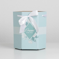 Переноска для цветов складная шестигранник &laquo;Present&raquo;, 17 х 14,8 х 19,5 см