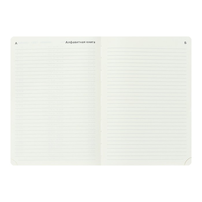 Ежедневник датированный 2024 A5 176 листов, deVENTE.Belcanto, твёрдая обложка из искусственной кожи с поролоном, ляссе, кремовый блок 70 г/м2, чёрный Ежедневник датированный 2024 A5 176 листов, deVENTE.Belcanto, твёрдая обложка из искусственной кожи с поролоном, ляссе, кремовый блок 70 г/м2, чёрный