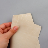 Искусственная кожа для тату и татуажа бровей, 19 &times; 14,5 см, цвет бежевый