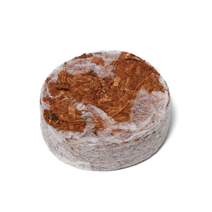 Таблетки кокосовые, d = 3,5 см, с оболочкой, набор 6 шт., Greengo Таблетки кокосовые, d = 3,5 см, с оболочкой, набор 6 шт., Greengo