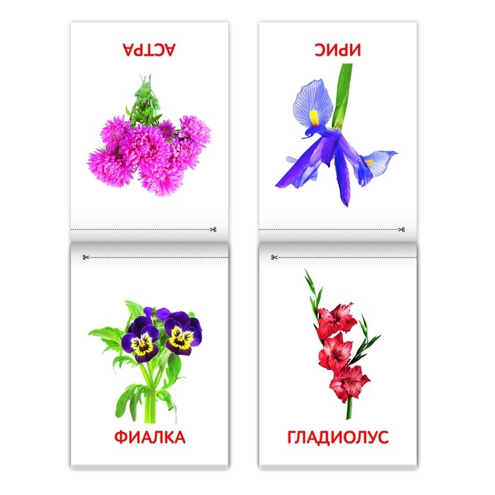 Книги &laquo;Карточки Домана. Окружающий мир&raquo;, набор, 8 шт. по 20 стр.